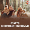 Статус многодетной семьи